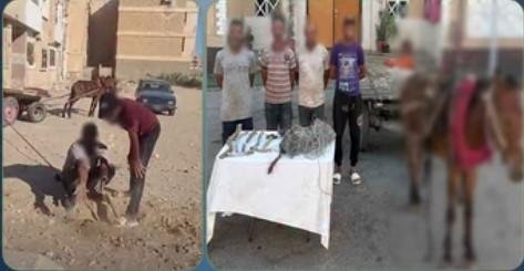 القبض على بائع خردة وعاطلين لا...