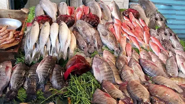 أسعار الأسماك والمأكولات البحر...