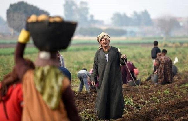 هل تزداد المشاكل النفسية بالريف المصري؟.. طبيبة توضح‬