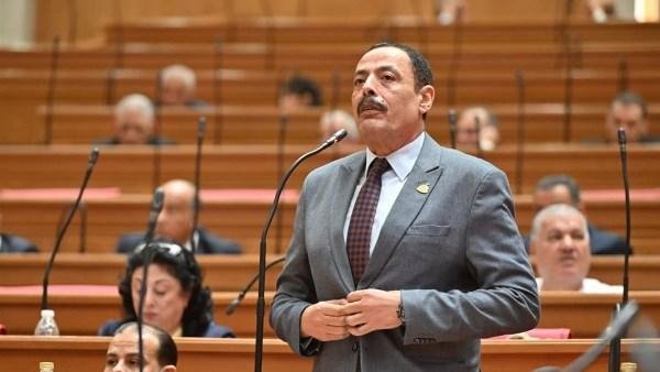 من أسفل الكباري إلى أسطح المباني.. خطة برلمانية لتخضير شبرا الخيمة