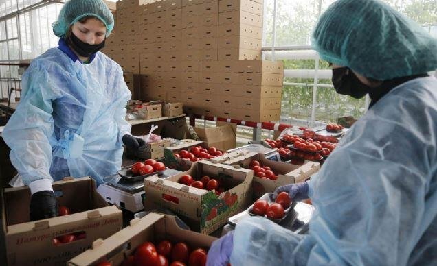 بـ475 مليون دولار.. السعودية فى صدارة الأسواق المستوردة للصناعات الغذائية المصرية
