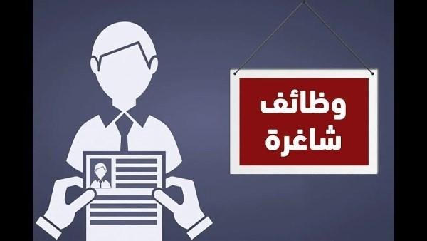 بمرتب 20 ألف جنيه.. وزارة العمل تعلن عن وظائف جديدة بالقطاع الخاص فى القليوبية
