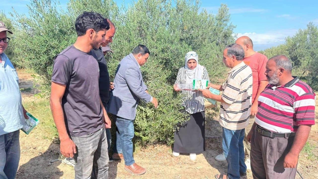 لتقليل الفاقد.. الزراعة تطلق حملة قومية لمكافحة القوارض بعد حصاد الموسم الصيفي
