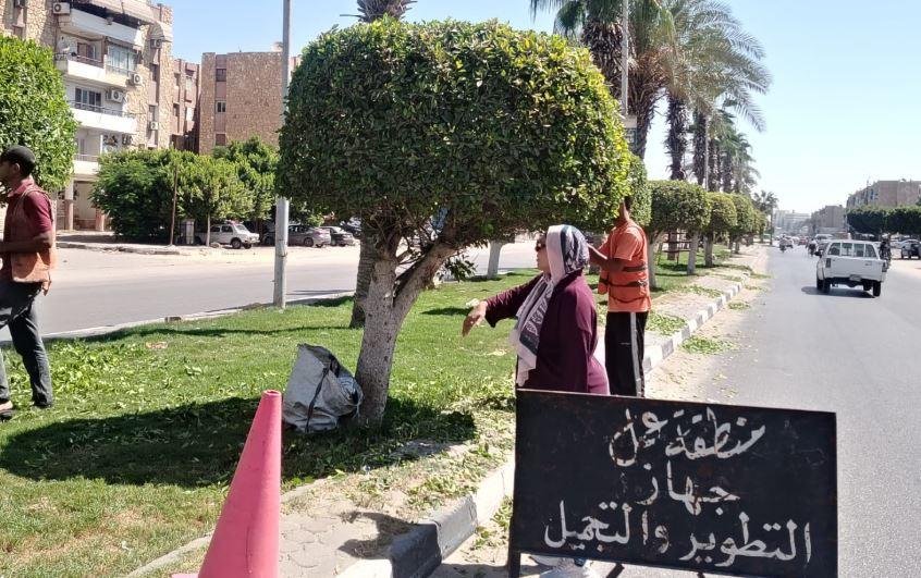 مديرية الزراعة في الأقصر: بدء حملة لمكافحة القوارض وحماية المحاصيل