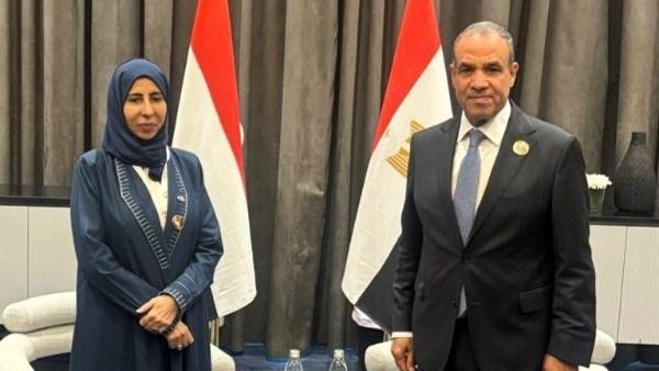 وزير الخارجية : مصر تساند كل ما من شأنه استعادة الأمن والاستقرار في اليمن