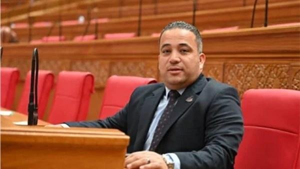 برلماني: جولة الرئيس السيسي الآسيوية تفتح آفاقًا جديدة للشراكة الاقتصادية وتعزز مكانة مصر الدولية