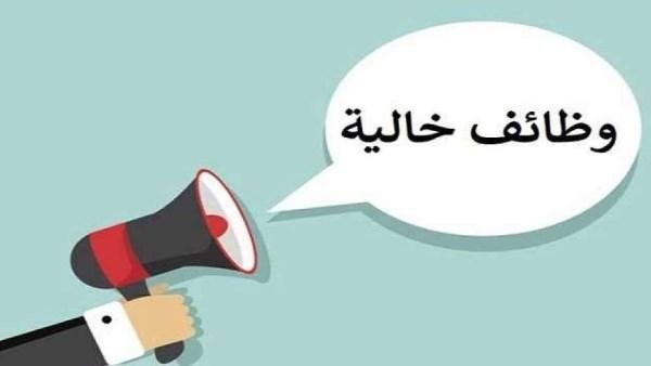 وظائف برواتب 13 ألف جنيه وفرص عمل حتى سن 60 عاما
