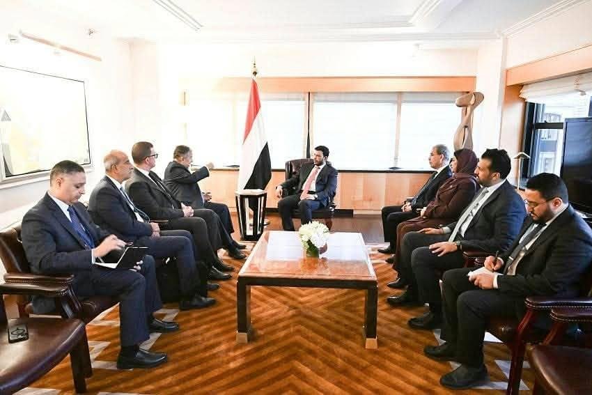 نبيل فهمي يجدد التأكيد على دعم الجامعة العربية للحكومة اليمنية الشرعية
