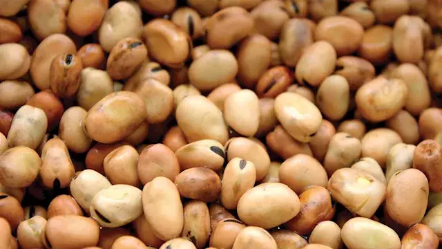 انخفاض أسعار الفول والدقيق وال...