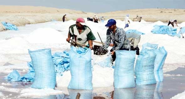 صادرات الملح ترتفع بنسبة 100%...