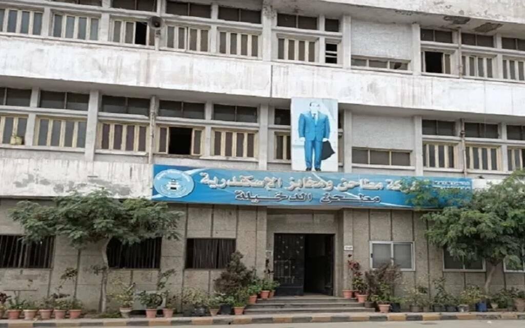تراجع أرباح مطاحن ومخابز الإسكندرية 18% خلال العام المالي 2025-2026