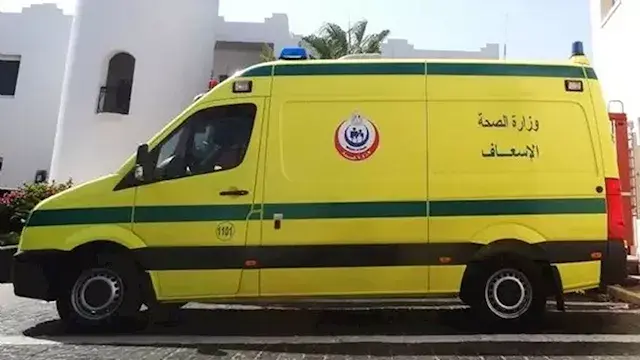بعد رحيل الأم قبل ولادتهما.. و...