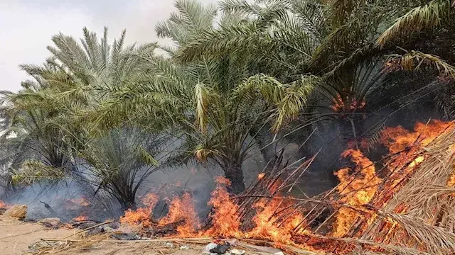 حريق مزرعة نخيل بالطريق الدائر...