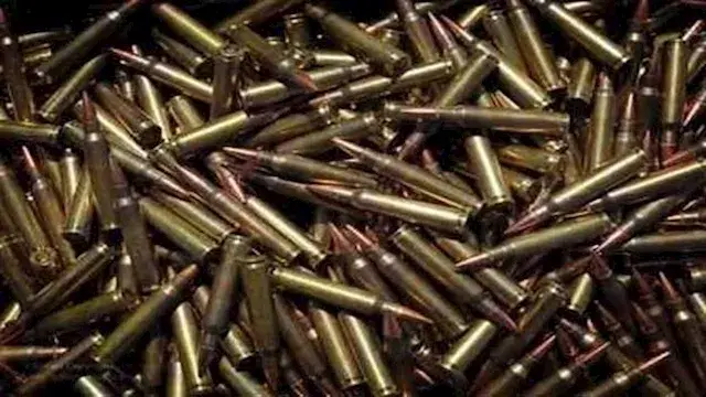 قرار جديد بشأن ربة منزل متهمة...