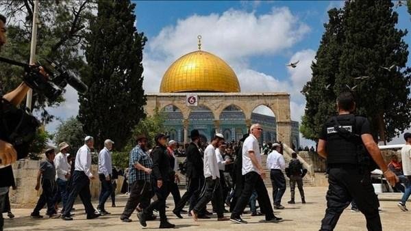 "مجلس الإفتاء الفلسطيني" يدين تدنيس رحاب المسجد الأقصى المبارك