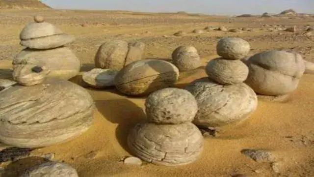 "ثمارٌ لم تزرعها يد".. السر ال...