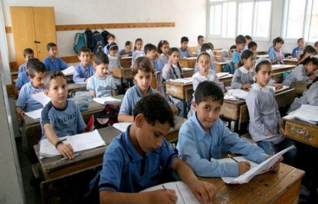 أستاذ مناهج: نظام «النقل الآلي» أفرز طلابًا بالسادس الابتدائي لا يجيدون القراءة والكتابة