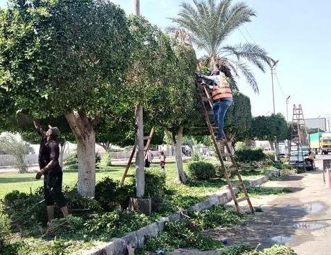 جهاز تطوير وتجميل الإسماعيلية يواصل رفع كفاءة المسطحات الخضراء والميادين