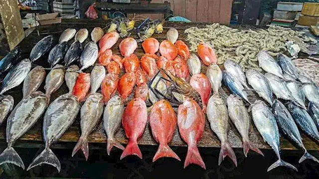 أسعار الأسماك في سوق العبور ال...