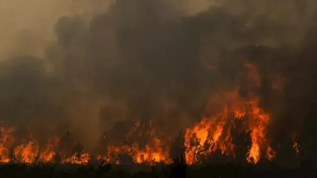 اليونان: اعتقال إسرائيلي بتهمة...