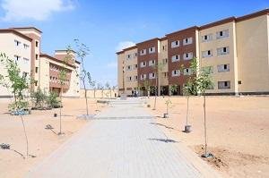 وزارة التنمية المحلية والبيئة تدعم مدرسة الكرنك بمدينة بدر في القاهرة بـ150 شجرة