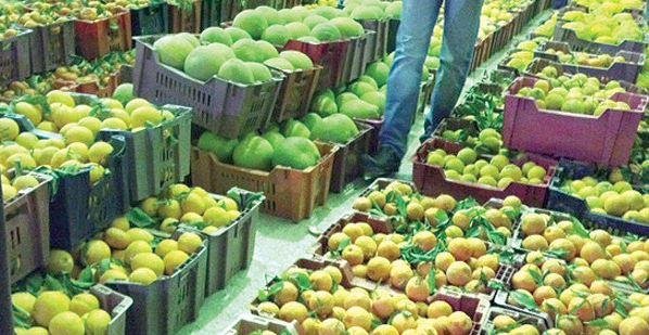 صادرات مصر من الخضروات المجمدة تسجل 207 ملايين دولار خلال عام