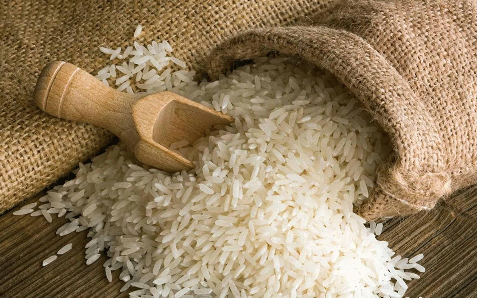 أسعار الأرز ترتفع 1000 جنيه للطن رغم زيادة إنتاجية الموسم الحالي