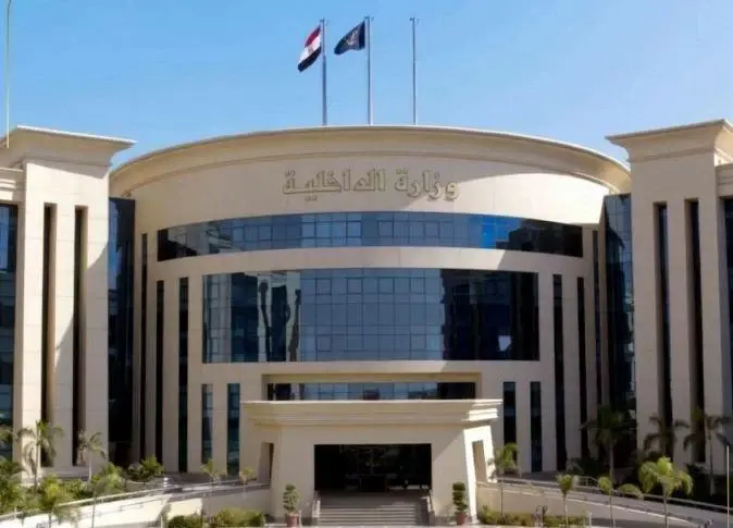 «خلافات عائلية» تنتهي بمشاجرة.. ضبط طرفي واقعة تهديد سيدة بسلاح أبيض في الغربية