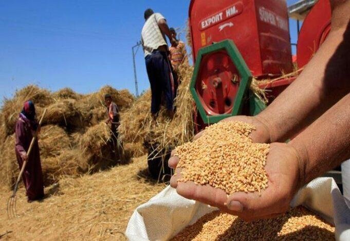 متحدث الزراعة: نستهدف زيادة مس...