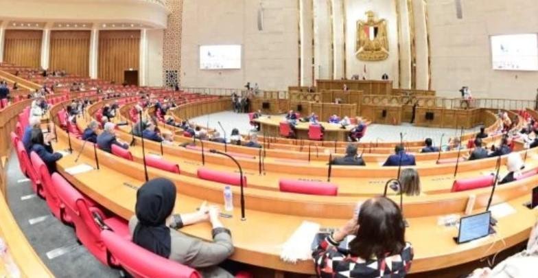 تصعيد ديانا أبو سحلى لشغل مقعد النائبة الراحلة أمانى أبو سحلى بمجلس النواب