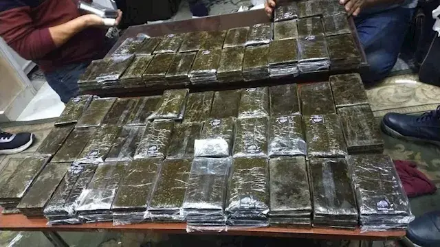 حشيش وأفيون وسلاح.. إحباط تهري...