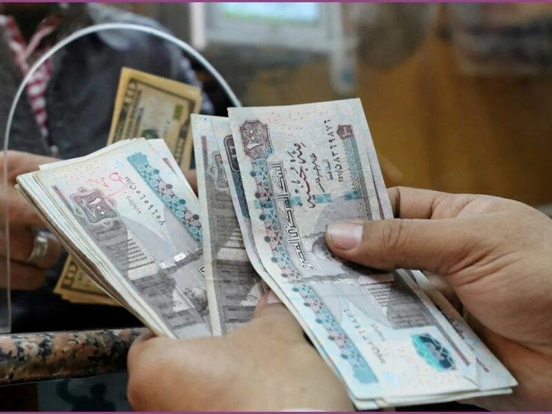 التضامن: صرف تكافل وكرامة عن شهر أكتوبر بقيمة تزيد على 4 مليارات جنيه اليوم
