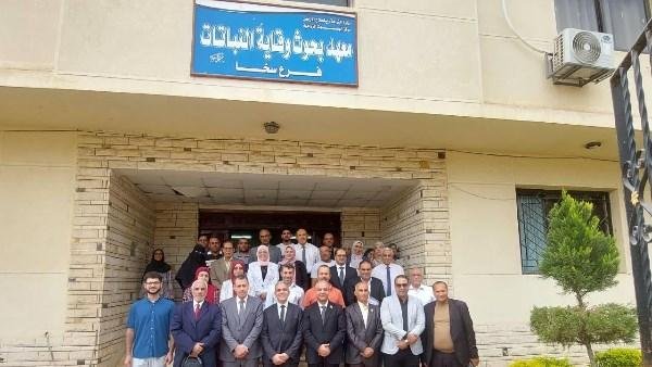 كيف ترفع مصر صادرات النباتات الطبية والعطرية؟.. الزراعة تكشف التفاصيل
