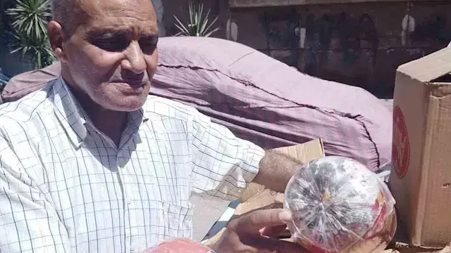 فطر على اللانشون ومخلفات دواجن...