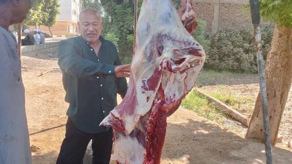 تموين الأقصر يحرر 660 محضرًا خلال سبتمبر.. ضبط طن سلع منتهية الصلاحية و2 طن بدون فواتير و12 طن دقيق بمستودعات