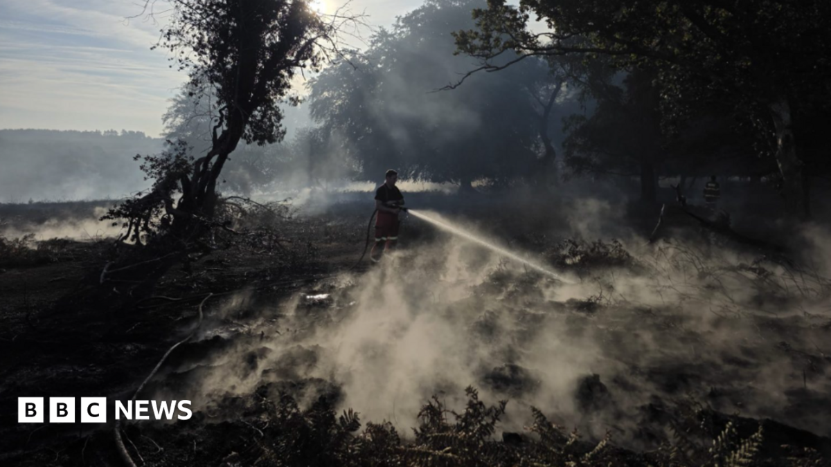Public urged to avoid 'surrounded' New Forest fire site