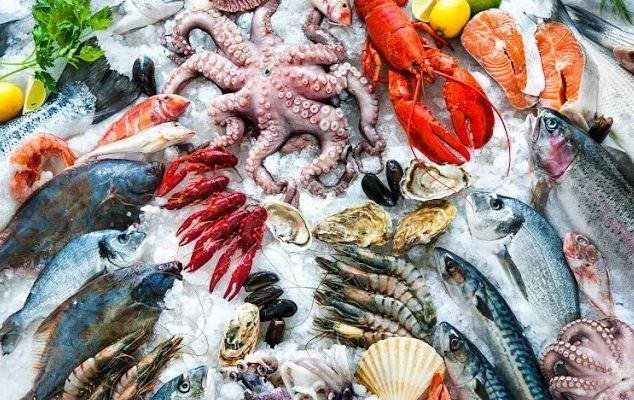 24 سبتمبر 2026.. أسعار الأسماك بسوق العبور للجملة اليوم