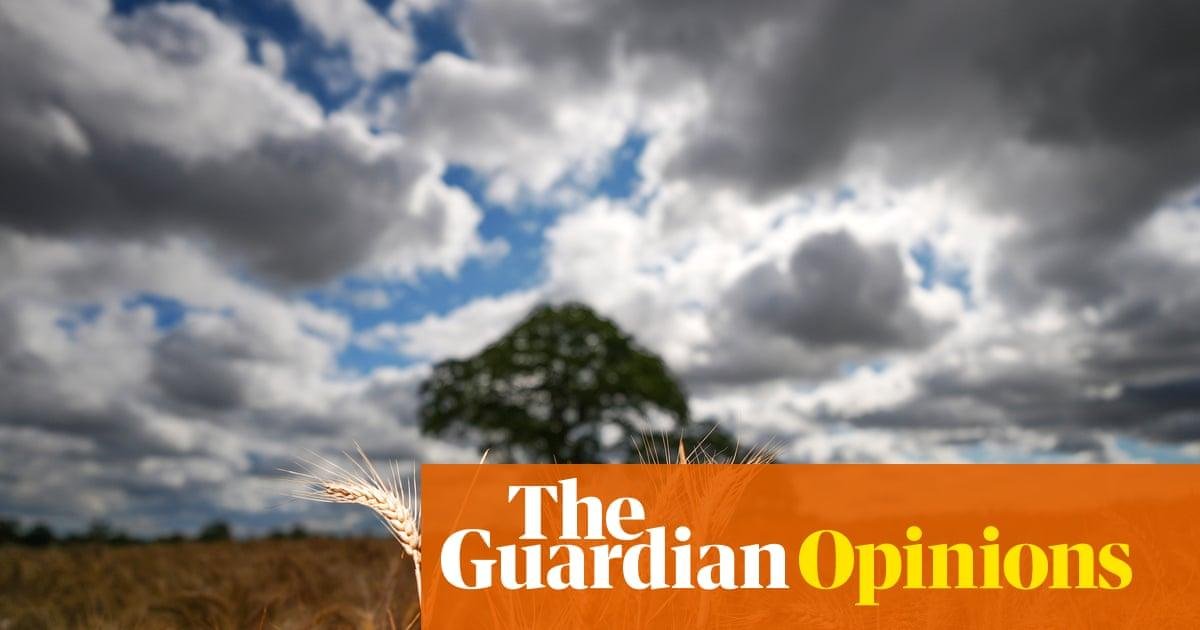 Reform says we need to choose...