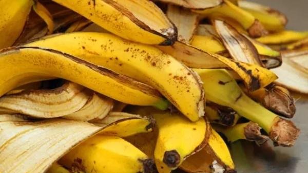 بلاش ترميه.. فوائد غير متوقعة لقشر الموز