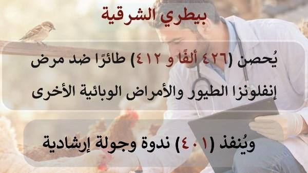 بيطري الشرقية يحصن 426 ألف طائر وينفذ 401 ندوة وجولة إرشادية خلال شهر سبتمبر الماضي