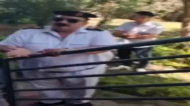 سيدة تدعي إزالة أشجار زرعتها ب...