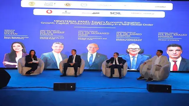 وزير التخطيط: إطلاق آلية ضمان...