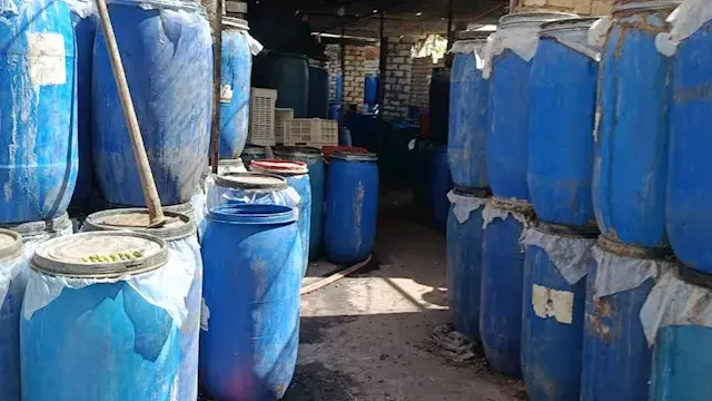 بحر فيديمين يتحول لمكب نفايات بسبب 12 مصنع تخليل زيتون في الفيوم