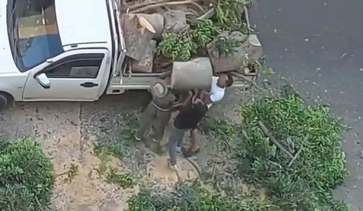 حبس 4 متهمين بقطع الأشجار في الإسكندرية.. والتحريات: استخدموا منشارا كهربائيا وسيارة نقل