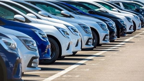 قبل ما تشتري عربية.. رئيس مصلحة الجمارك يكشف حقيقة زيادة الرسوم