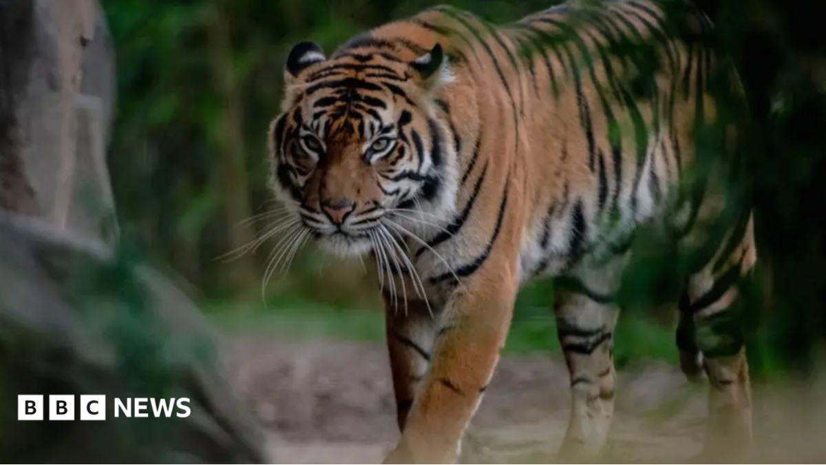 Zoo advertises tickets for 'child predator tour'