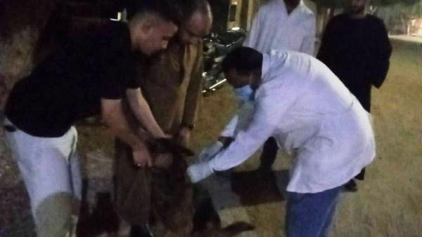 تحصين 27 كلبًا خلال حملة بيطرية مُكبرة بساقلتة في سوهاج .. صور