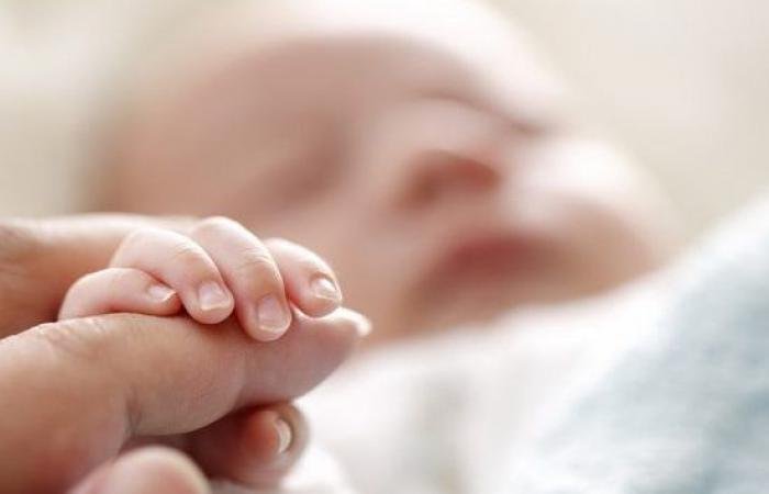 الإحصاء: معدلات الإنجاب في الريف دائما أعلى من الحضر