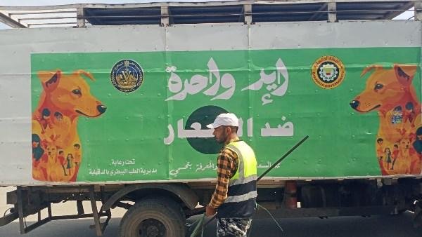 محافظ الدقهلية يتابع حملات مواجهة الكلاب الضالة بمركز المطرية