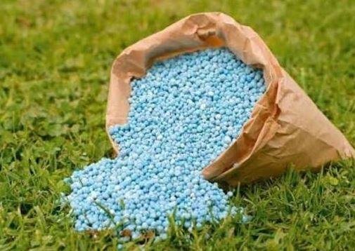 زراعة قنا: توزيع 98% من الأسمدة الأزوتية للمزارعين مع استمرار المتابعة لضمان وصولها لمستحقيها